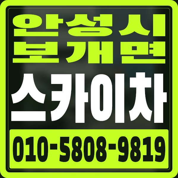 경기 안성시 보개면 스카이차 · 010-5808-9819
