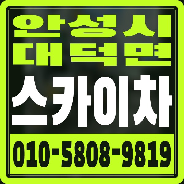 경기 안성시 대덕면 스카이차 · 010-5808-9819