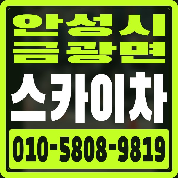 경기 안성시 금광면 스카이차 · 010-5808-9819
