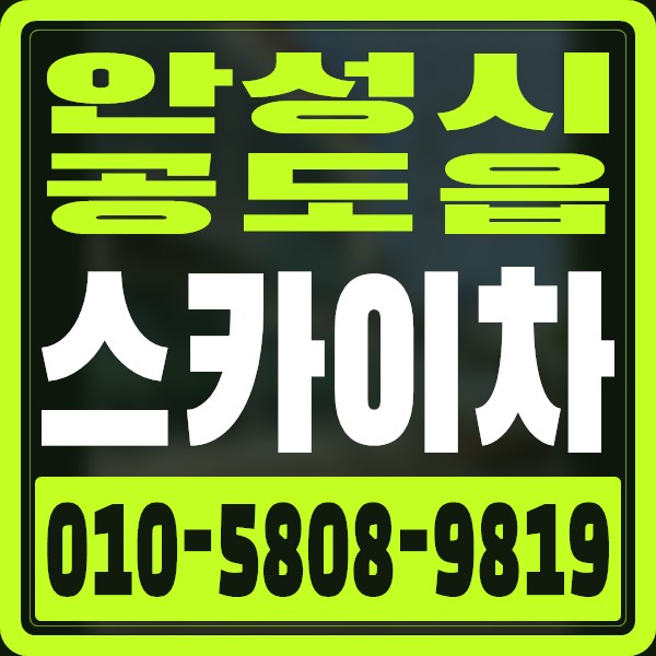 경기 안성시 공도읍 스카이차 · 010-5808-9819