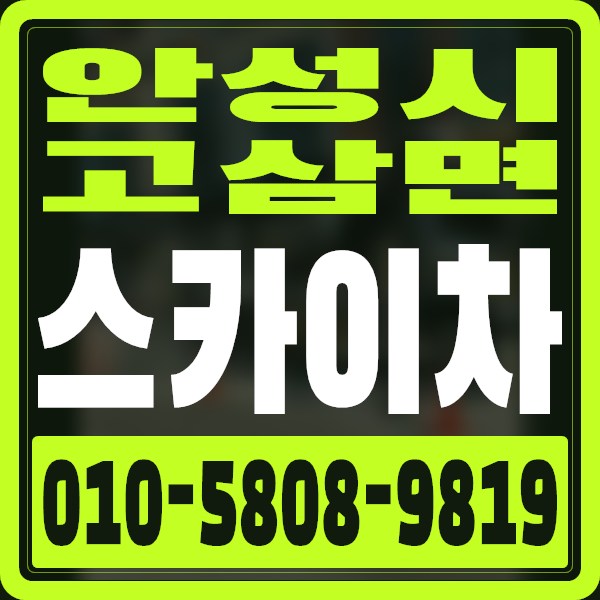 경기 안성시 고삼면 스카이차 · 010-5808-9819