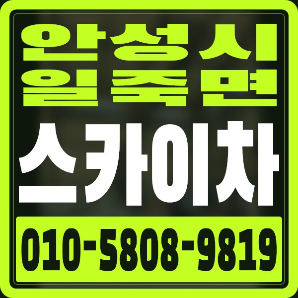경기 안성시 일죽면 스카이차 · 010-5808-9819
