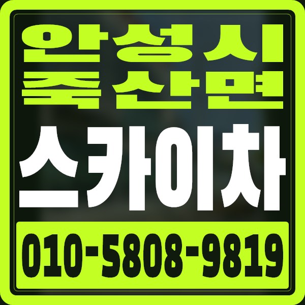 경기 안성시 죽산면 스카이차 · 010-5808-9819