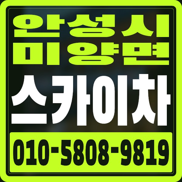 경기 안성시 미양면 스카이차 · 010-5808-9819