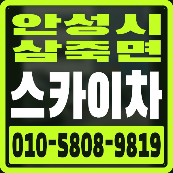 경기 안성시 삼죽면 스카이차 · 010-5808-9819