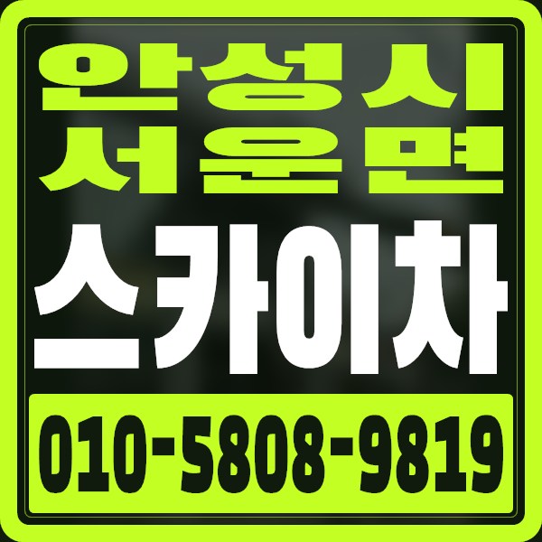 경기 안성시 서운면 스카이차 · 010-5808-9819