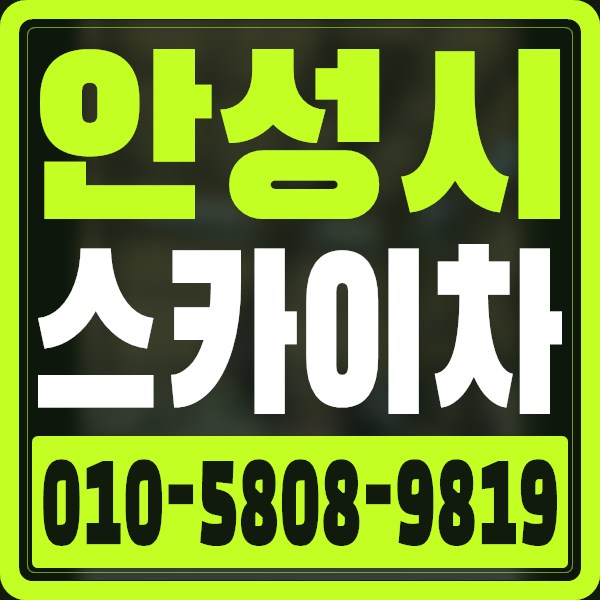 경기 안성시 스카이차 · 010-5808-9819