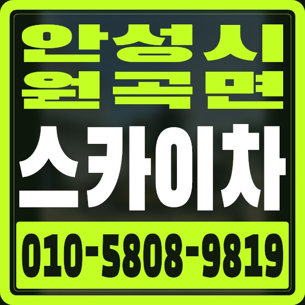 경기 안성시 원곡면 스카이차 · 010-5808-9819