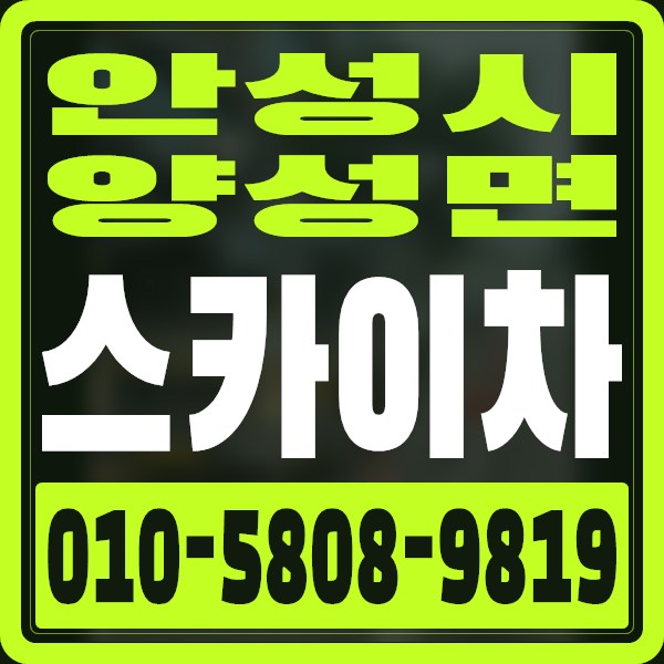 경기 안성시 양성면 스카이차 · 010-5808-9819