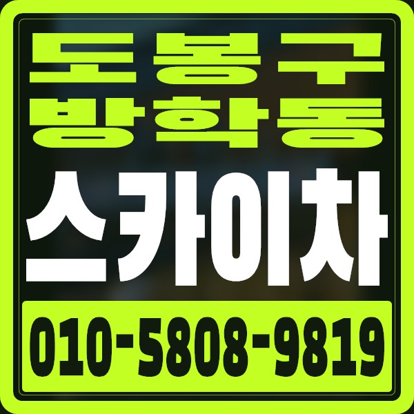 서울 도봉구 방학동 스카이차 · 010-5808-9819