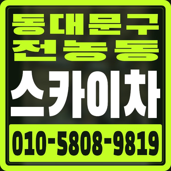 서울 동대문구 전농동 스카이차 · 010-5808-9819