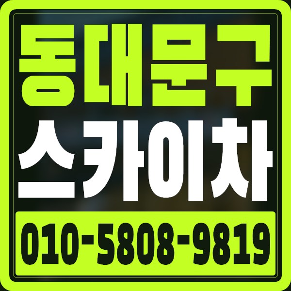 서울 동대문구 스카이차 · 010-5808-9819