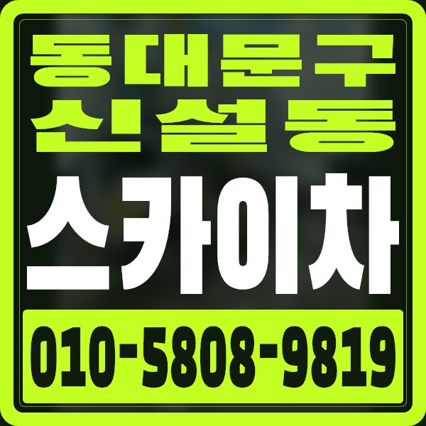 서울 동대문구 신설동 스카이차 · 010-5808-9819