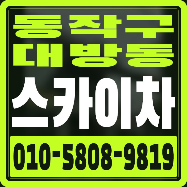 서울 동작구 대방동 스카이차 · 010-5808-9819