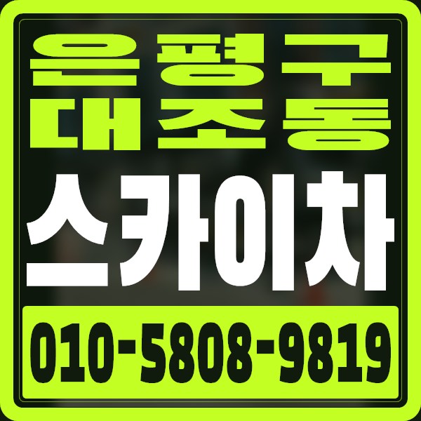 서울 은평구 대조동 스카이차 · 010-5808-9819