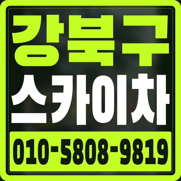 서울 강북구 스카이차 · 010-5808-9819