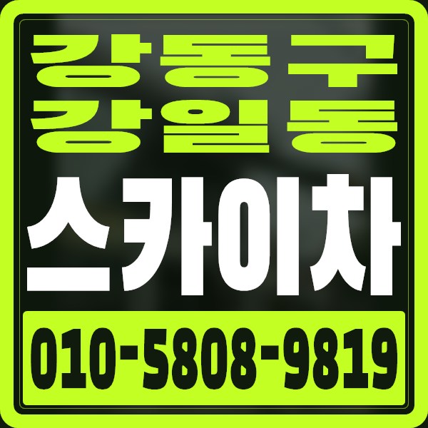 서울 강동구 강일동 스카이차 · 010-5808-9819