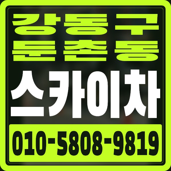 서울 강동구 둔촌동 스카이차 · 010-5808-9819