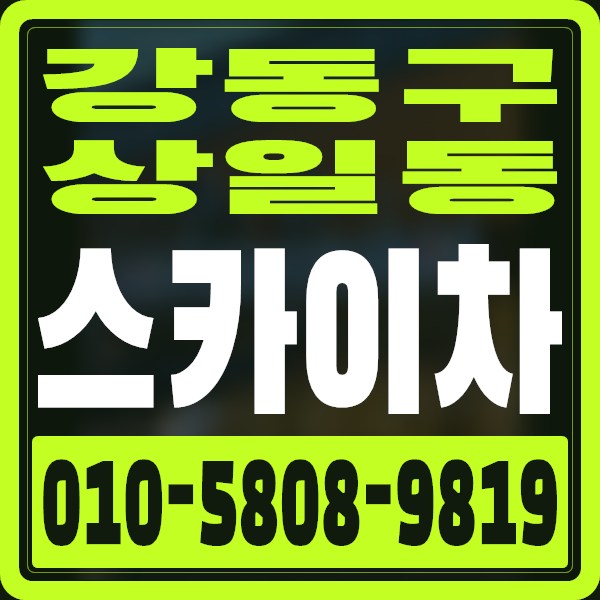 서울 강동구 상일동 스카이차 · 010-5808-9819