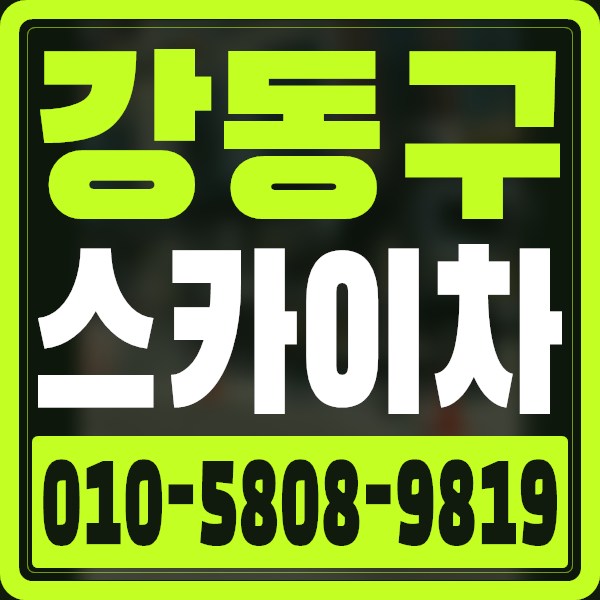 서울 강동구 스카이차 · 010-5808-9819