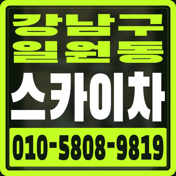서울 강남구 일원동 스카이차 · 010-5808-9819