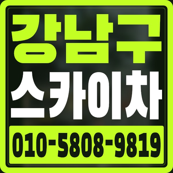 서울 강남구 스카이차 · 010-5808-9819