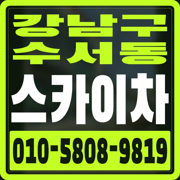 서울 강남구 수서동 스카이차 · 010-5808-9819