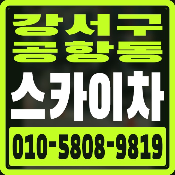 서울 강서구 공항동 스카이차 · 010-5808-9819