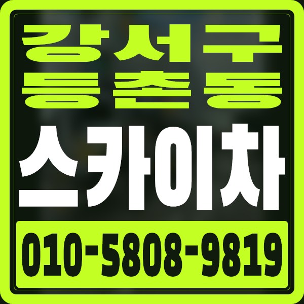 서울 강서구 등촌동 스카이차 · 010-5808-9819