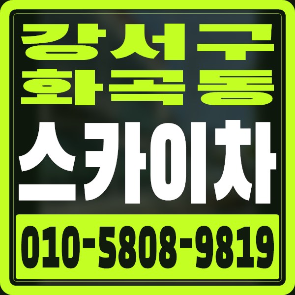 서울 강서구 화곡동 스카이차 · 010-5808-9819