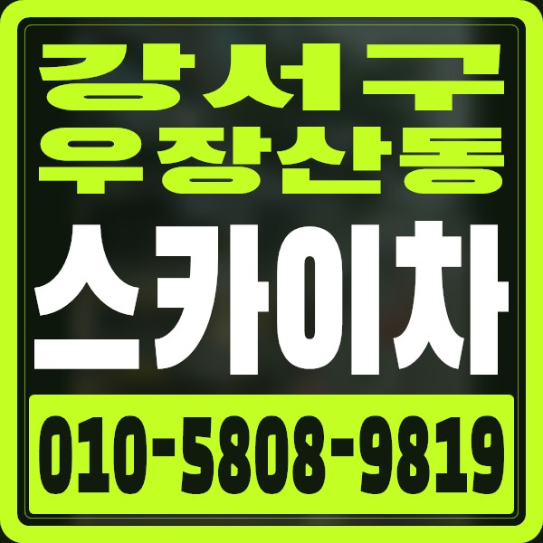 서울 강서구 우장산동 스카이차 · 010-5808-9819