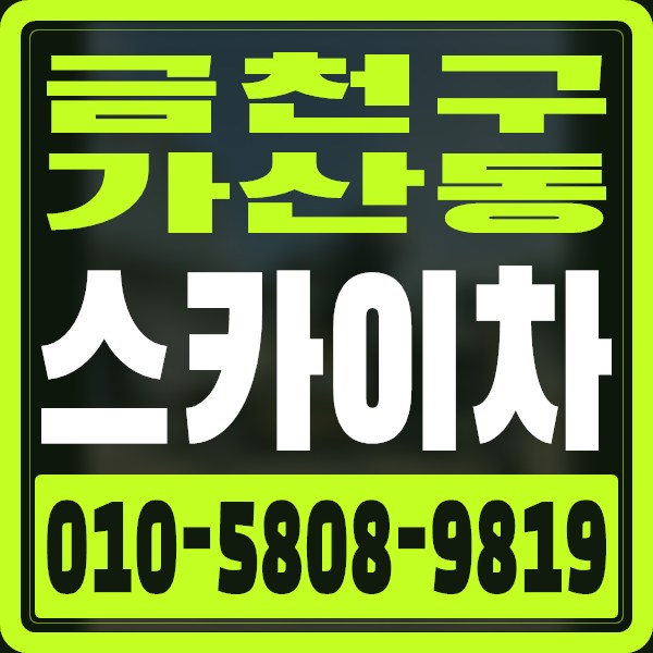 서울 금천구 가산동 스카이차 · 010-5808-9819