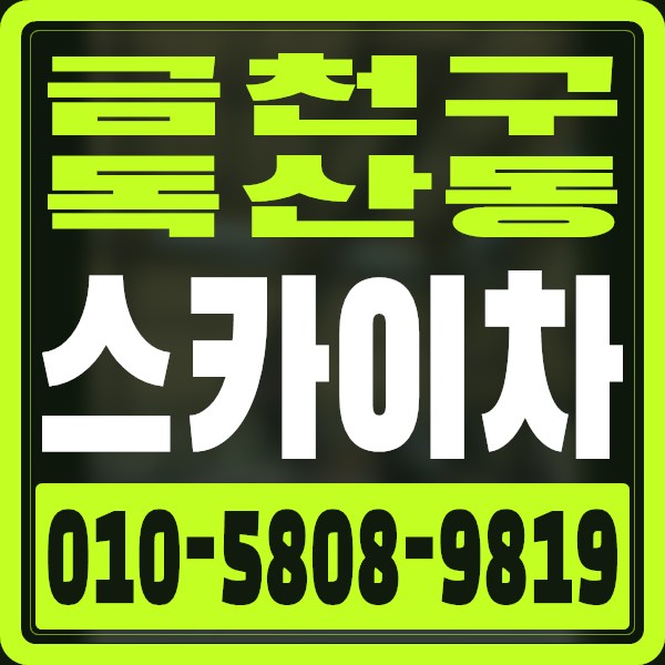 서울 금천구 독산동 스카이차 · 010-5808-9819