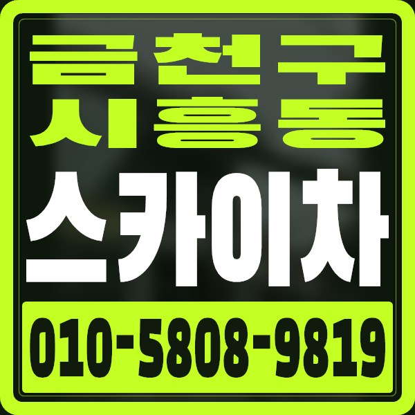 서울 금천구 시흥동 스카이차 · 010-5808-9819