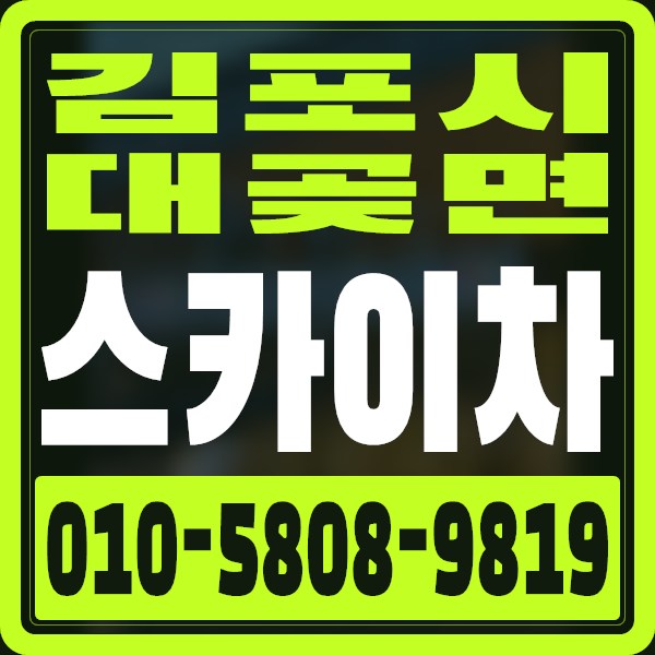 경기 김포시 대곶면 스카이차 · 010-5808-9819