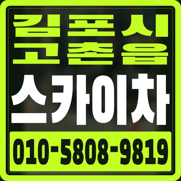 경기 김포시 고촌읍 스카이차 · 010-5808-9819