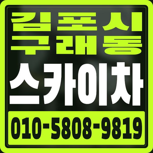 경기 김포시 구래동 스카이차 · 010-5808-9819