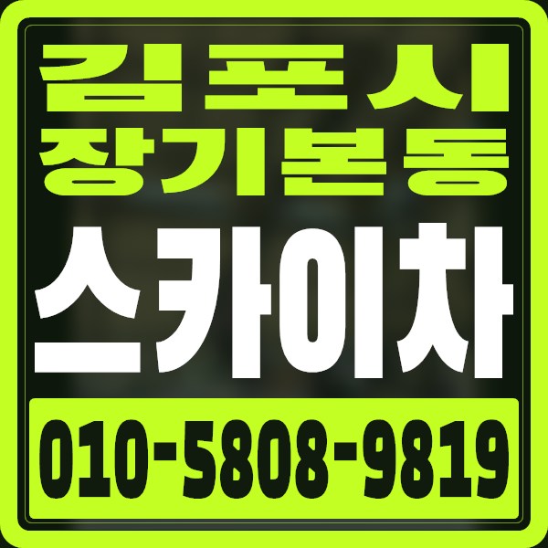 경기 김포시 장기본동 스카이차 · 010-5808-9819