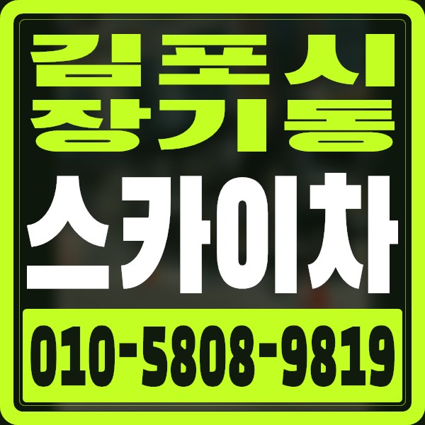 경기 김포시 장기동 스카이차 · 010-5808-9819