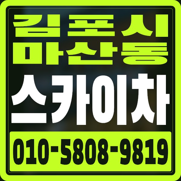 경기 김포시 마산동 스카이차 · 010-5808-9819