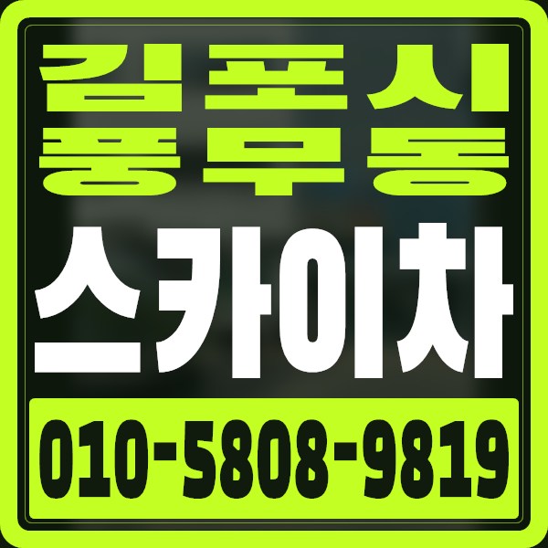 경기 김포시 풍무동 스카이차 · 010-5808-9819
