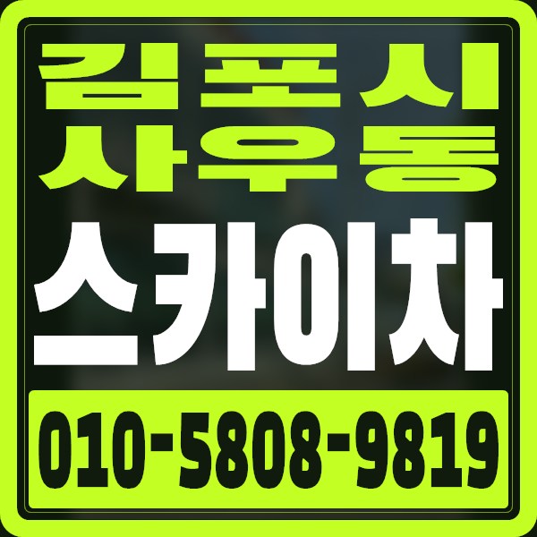 경기 김포시 사우동 스카이차 · 010-5808-9819