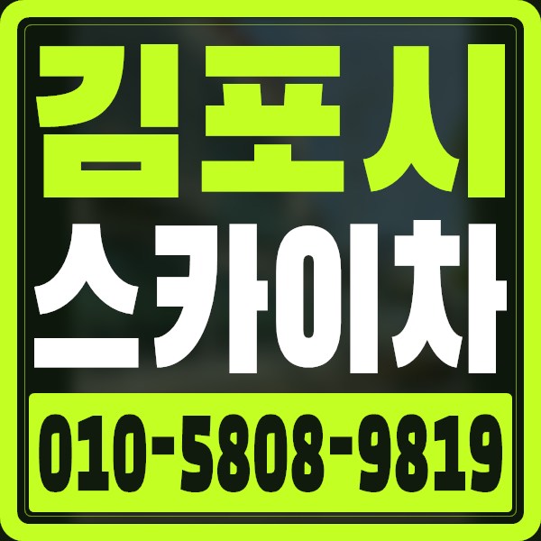 경기 김포시 스카이차 · 010-5808-9819