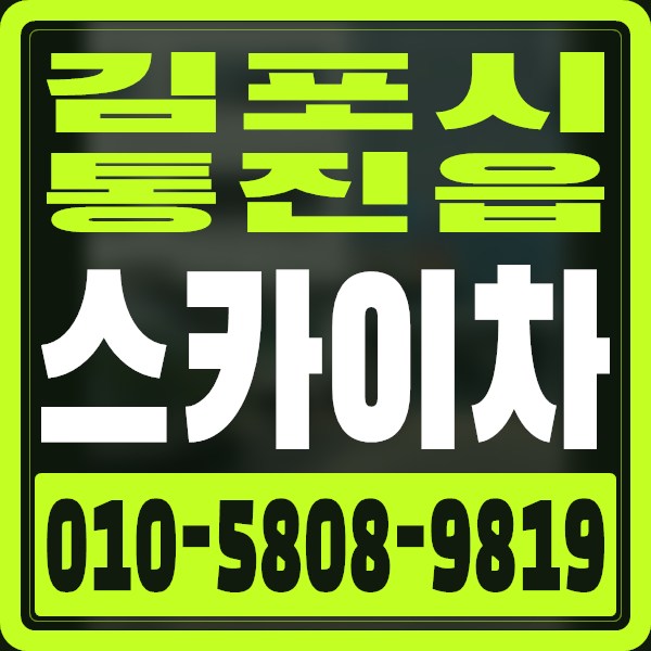 경기 김포시 통진읍 스카이차 · 010-5808-9819