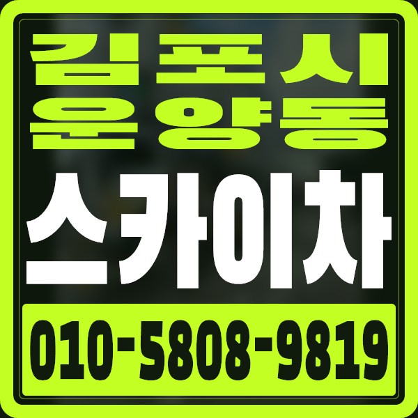 경기 김포시 운양동 스카이차 · 010-5808-9819