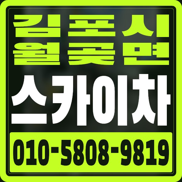 경기 김포시 월곶면 스카이차 · 010-5808-9819