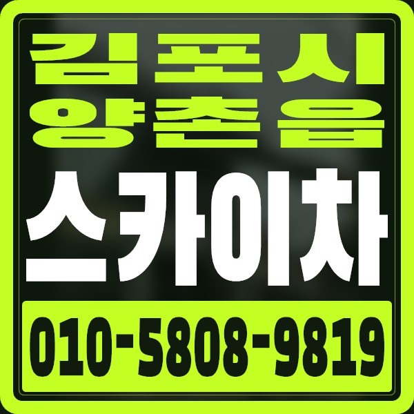 경기 김포시 양촌읍 스카이차 · 010-5808-9819