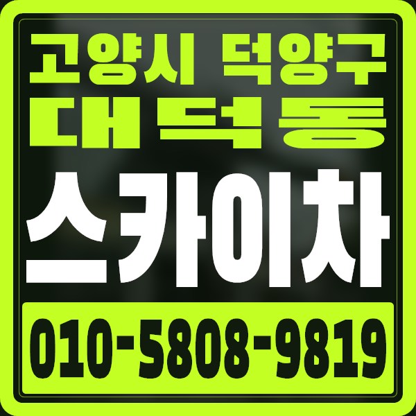 경기 고양시 덕양구 대덕동 스카이차 · 010-5808-9819