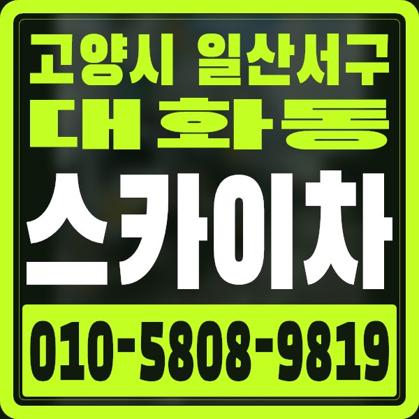 경기 고양시 일산서구 대화동 스카이차 · 010-5808-9819