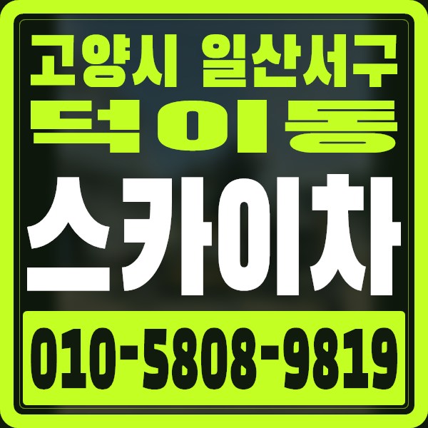 경기 고양시 일산서구 덕이동 스카이차 · 010-5808-9819